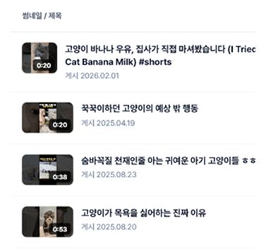 영상 검색 화면